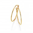 Gold Hoop Earrings