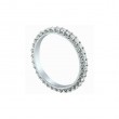 Platinum Royal Prong Band