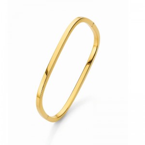 Gold Frame Hinged Bangle Bracelet