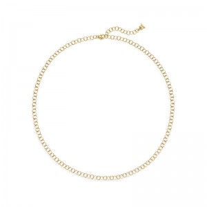 Gold Fine Round Chain Necklace
