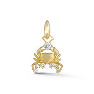 Gold and Diamond Cancer Charm Pendant
