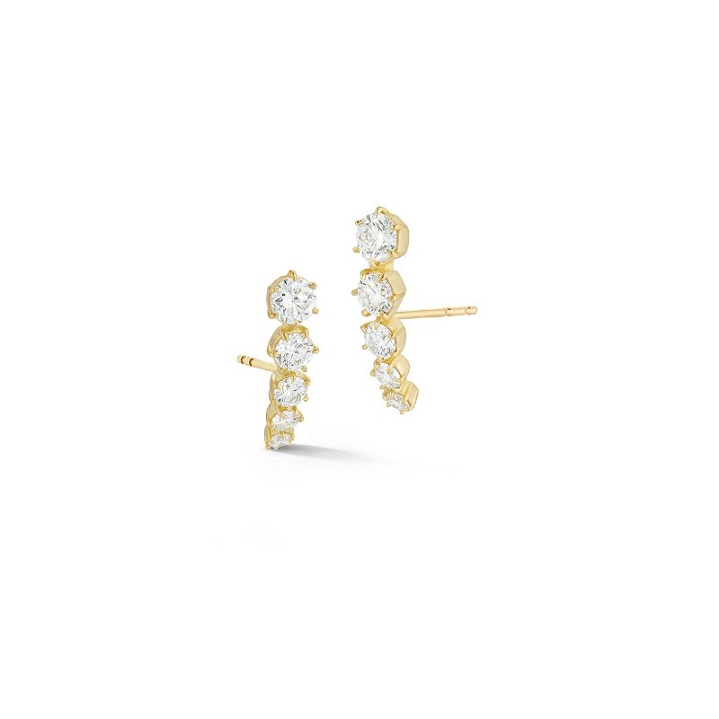 https://www.tinyjewelbox.com/upload/product/Gold And Five Diamond Ara Climber Earrings