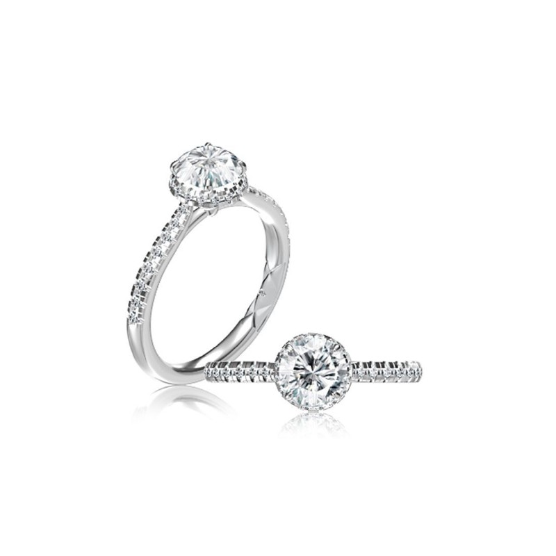 https://www.tinyjewelbox.com/upload/product/Platinum Four Prong Engagement Ring Mounting With Diamond Band