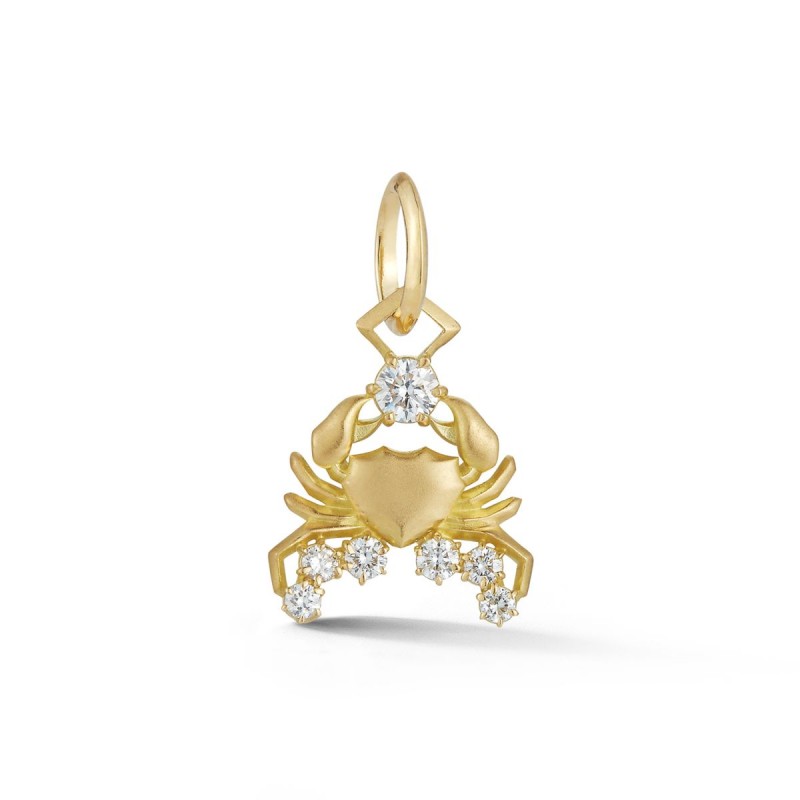 https://www.tinyjewelbox.com/upload/product/Gold and Diamond Cancer Charm Pendant