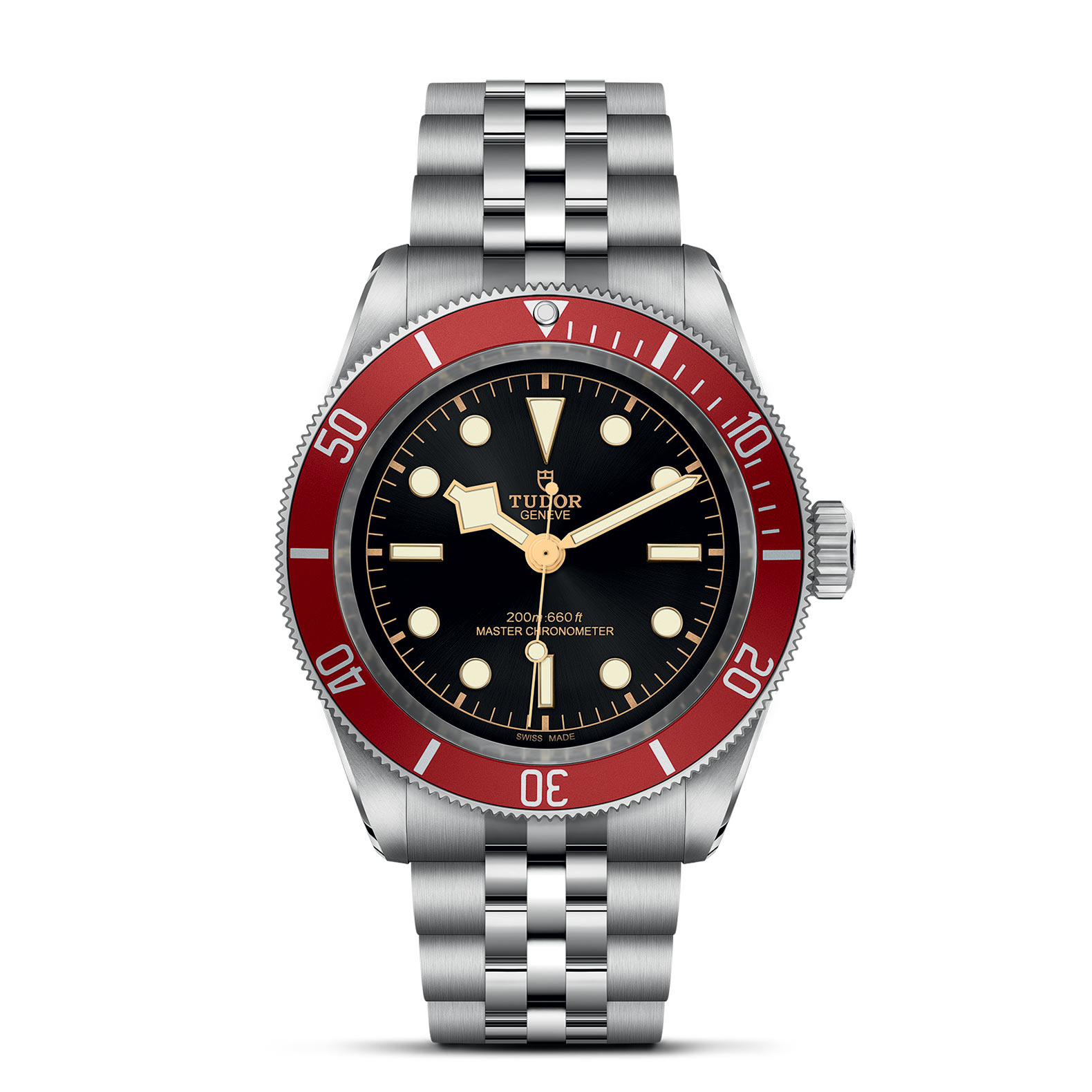 Tudor Black Bay